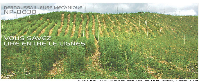 éclaircie précommerciale